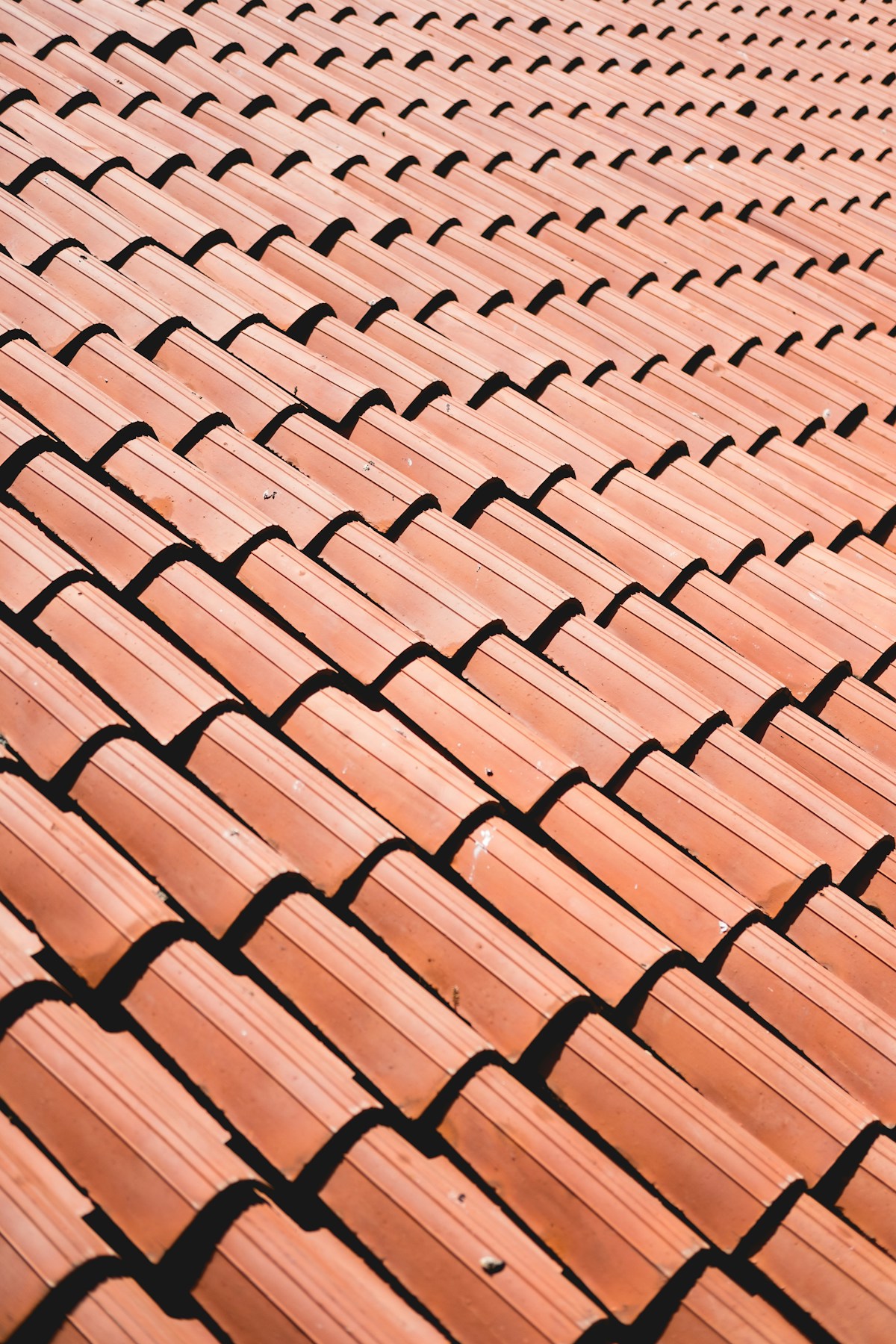 New Roofs